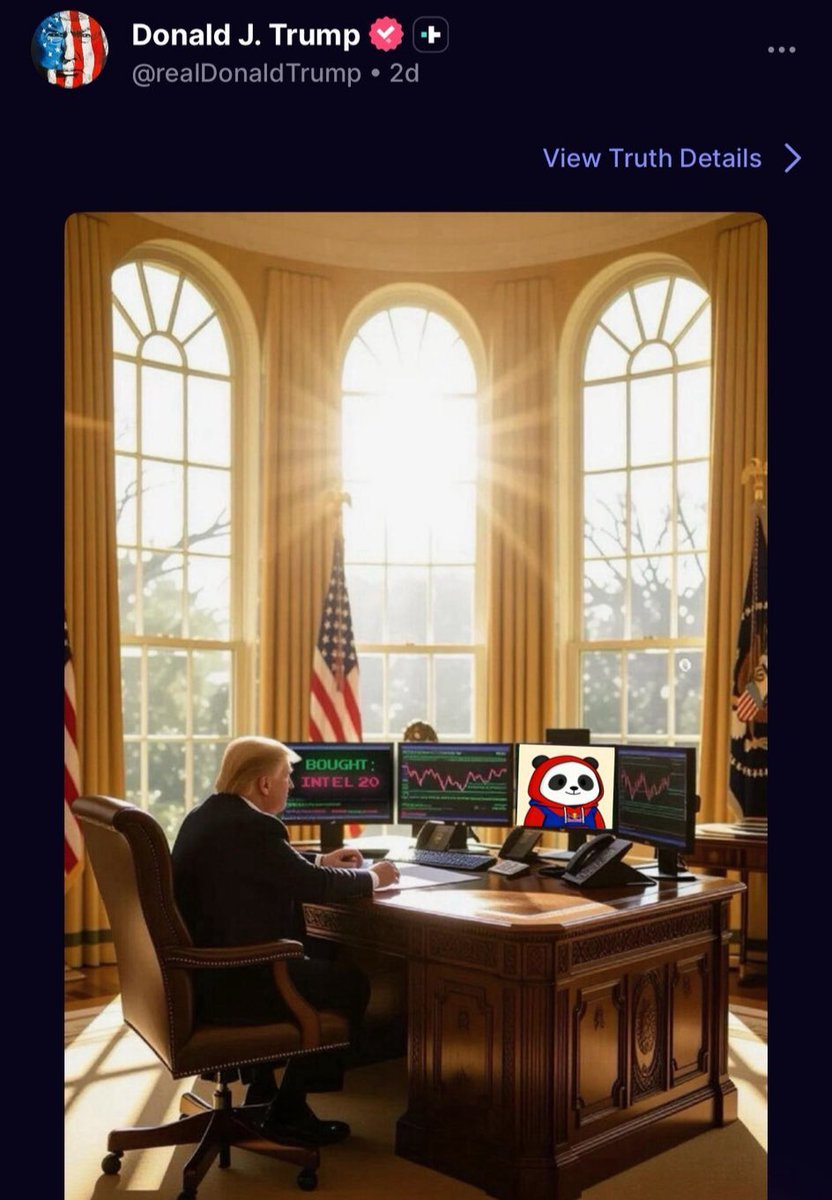 Pandupandas's tweet image. Great to see @realDonaldTrump hard at work in the office 👀🐼

$TRUMP X $PANDU
