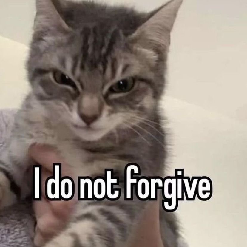 KURO ☠️❤️‍🩹 tweet media