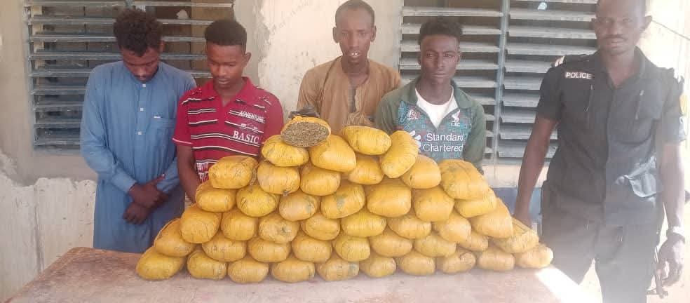 aboubacarybarma's tweet photo. #Niger #Drogue 
A #Tanout, dans la région de #Zinder, la police a interpellé, le 19 septembre, 3 individus avec 44 briques de #chanvre_indien suite à l'exploitation renseignements sur un réseau de #trafic_international de drogue entre #Nigéria vers nord #Niger. https://t.co/ujFqafRXnS