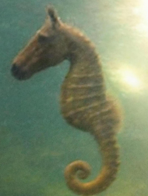 FraudTimer's tweet image. OOPS MEGA FAIL!

Unser Mitglied T-J hat 2,5h gestreamt, ohne sein Mikrofon für den Stream aktiviert zu haben. Diese Aktion verdient jetzt schon den Fail der Woche!!