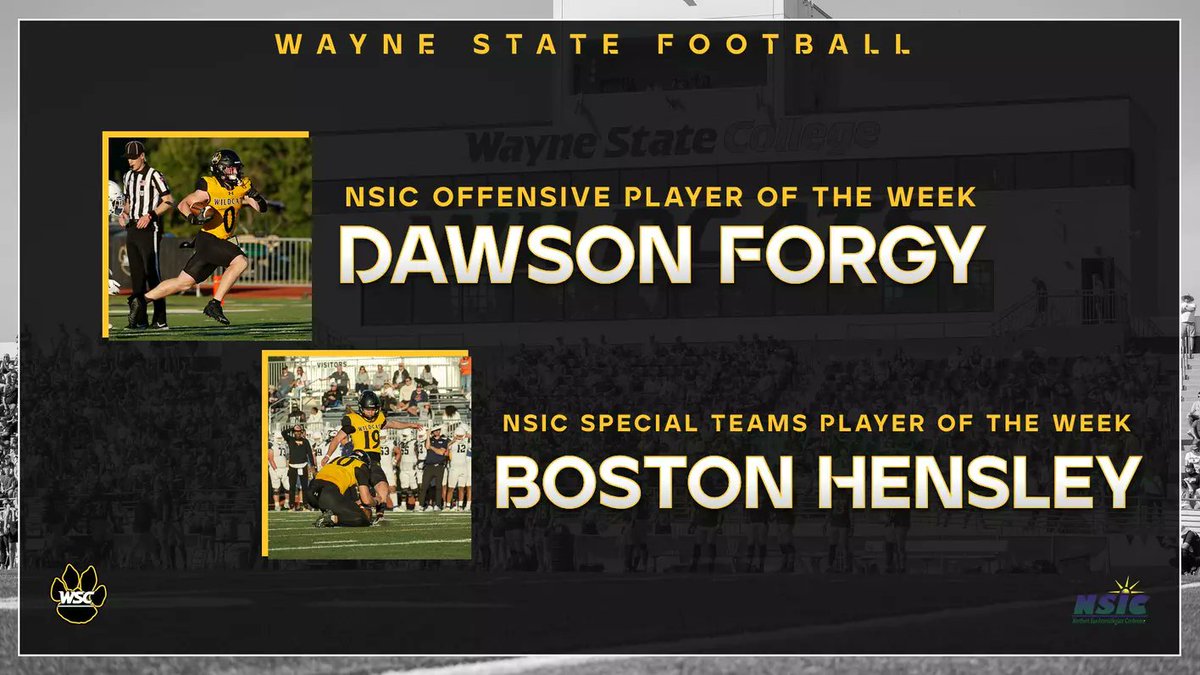 Forgy, Hensley collect #NSICFB Player of the Week honors for <a href="/WayneStFootball/">Wayne State Football</a> following Saturday's 27-17 win at MSU Moorhead.  #PlayforthePaw
Forgy, Hensley collect NSIC Football Player of the Week honors - Wayne State College Athletics