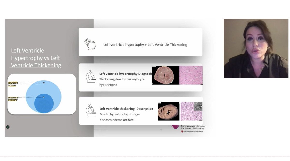 Özge Özden Kayhan tweet media