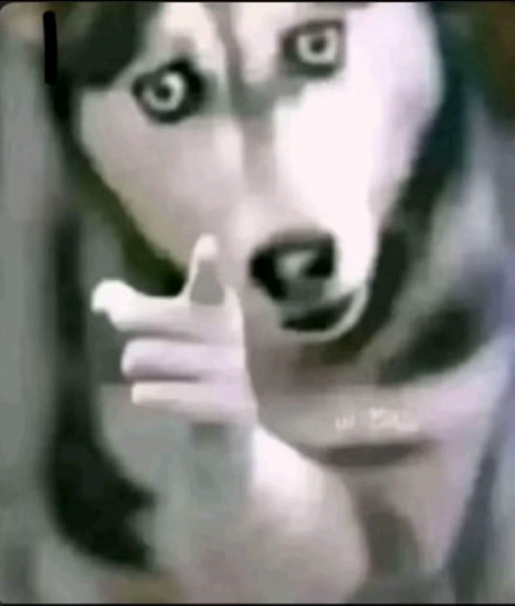 iyi geceler ben ve 51 takipcim baskasina iyi geceler yok takip edin herkes haddini bilecek