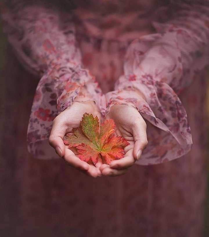 🌸 كونوا لهنَّ السَّند 🌸

المرأة لا تحتاج فقط إلى كلمة جميلة، بل إلى مَن يكون لها سنداً في المواقف الصعبة، وظهراً في أيام التعب، ورفيقاً في رحلة الحياة.