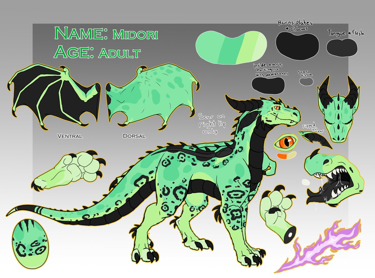 ArtZotz's tweet photo. My dragon Midori's ref. Posting to test my Postybirb profiles.

#feral #furry #dragon #furryartwork #sfw #referencesheet https://t.co/jwPbNz3uqQ