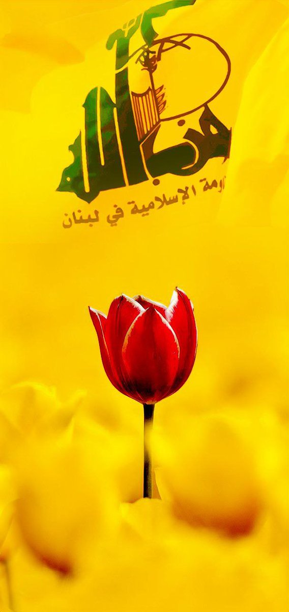 فإن حزب الله هم الغالبون...
#سلاحنا_كأرواحنا

#انا_على_العهد