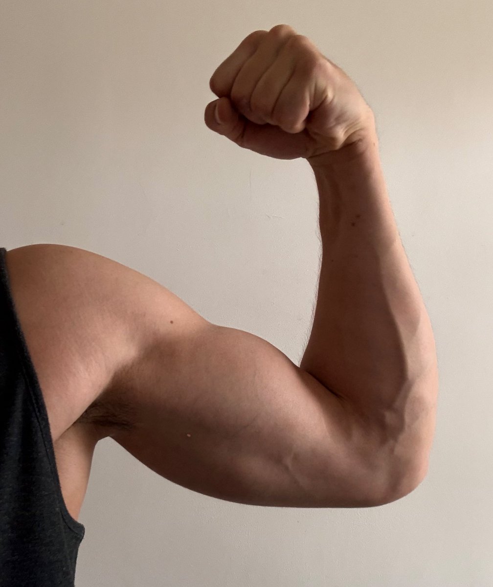 livingforlegend's tweet photo. still september so biceptember !!! https://t.co/pF2TS8W8go