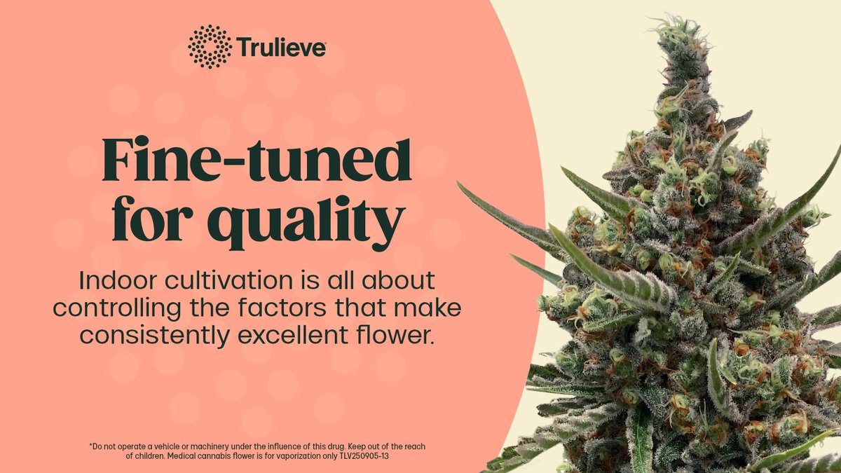 Grown with care. Crafted for connoisseurs.💚 Tap to explore our full lineup: spr.ly/6017AXBNB