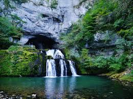 python-lycée tweet media