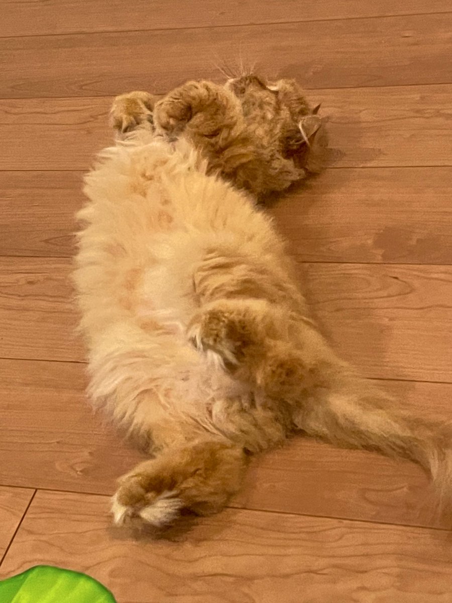 のうきんちゃん𝕏 (@NOUKINchan_zZ) / Posts / X