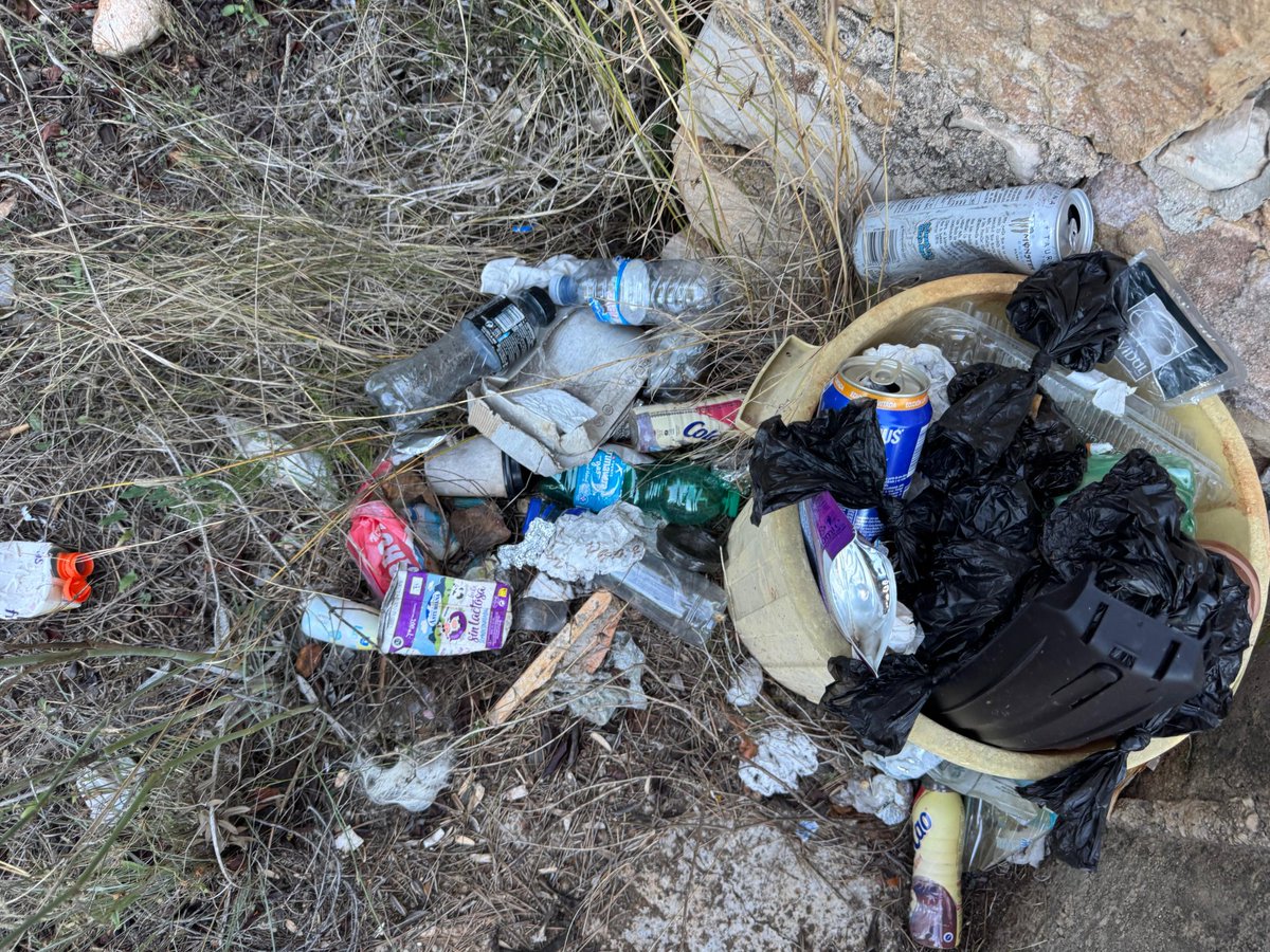Feliz otoño.

Si ves esto, debes pedirle al ayuntamiento que ejerza las funciones que tienen.

Sea en un parque natural o la ciudad.

Cada administración debe ser responsable.