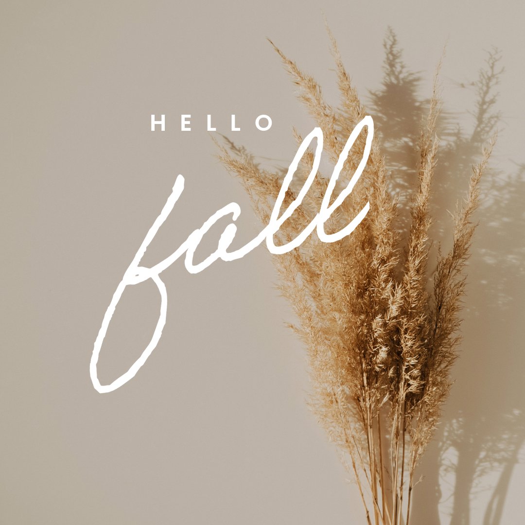 GatewayExec's tweet image. Happy Fall Y'all 🍂

#executivesuites #mesaaz #meetingrooms #businessaddress #officespace #virtualoffice #virtualaddress