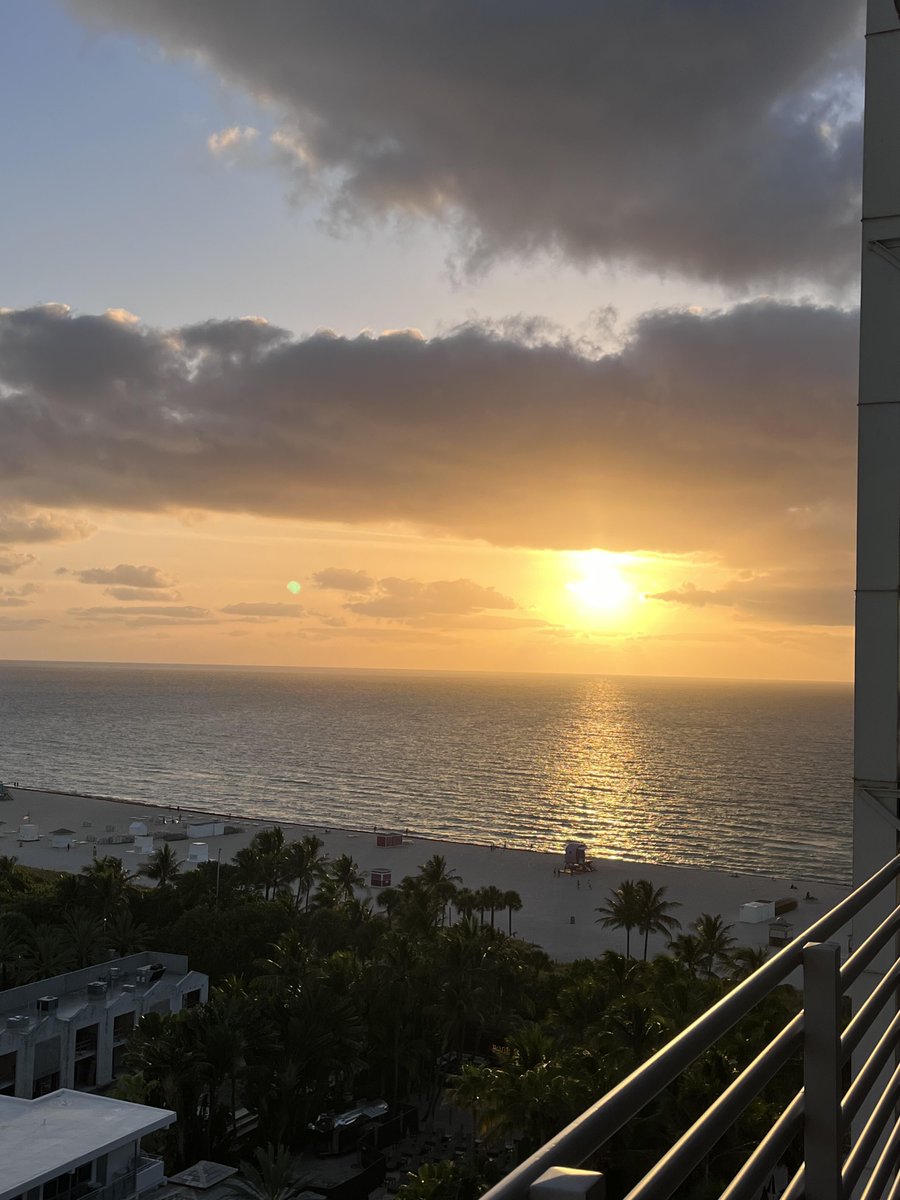 xawiu10643's tweet photo. Miami mornings taste like freedom 🌴✨ https://t.co/iVADLqhe6L