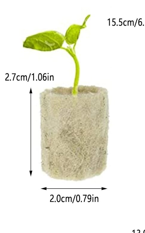 MyTinyGrow's tweet image. Can someone help me, please? I am using these small fibre cubes for my #marijuana  #Seeds, but I  keep making a mistake and can&apos;t get my seed to germinate. #grow 
#GrowTogether #cannabis #growyourown #MyTinyGrow #weed #WeedLovers #homegrow #Homegrown #diy