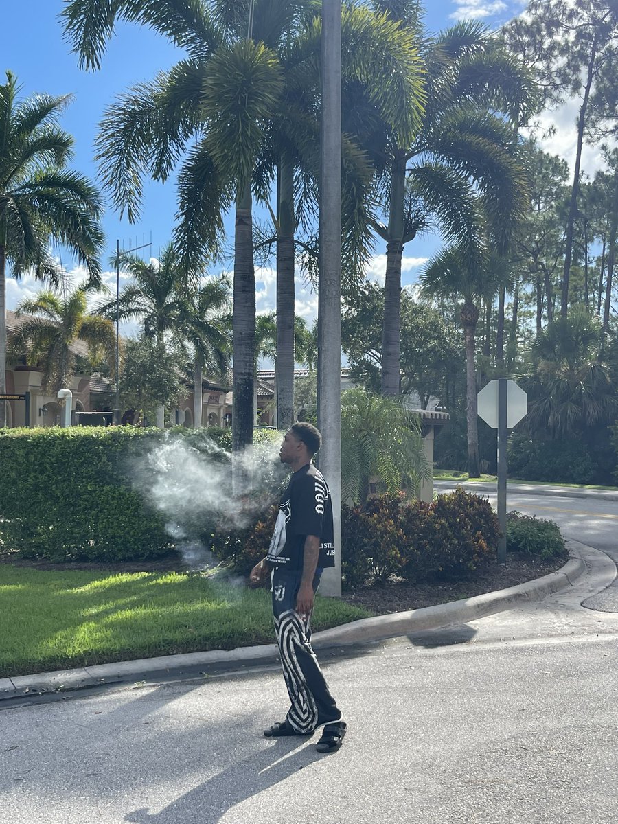 🦍Big JAM Bihh 🦍 tweet media