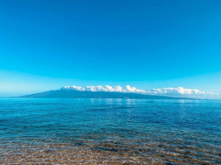 Art of the Day! "Lanai". Buy at: ArtPal.com/art4allpeople?…