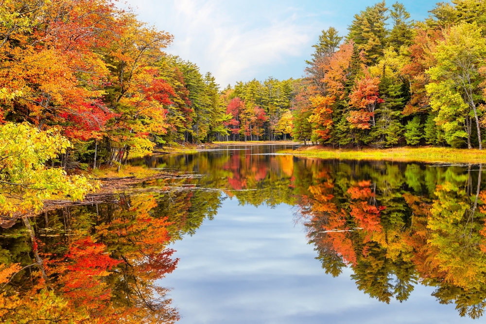 Happy Autumnal Equinox! Today we will have nearly an equal amount (about 12 hours) of daylight and darkness. In many northern hemisphere cultures the autumnal equinox is a signal to begin preparations for winter. #goodbyesummer #autumnishere #autumn #autumnalequinox