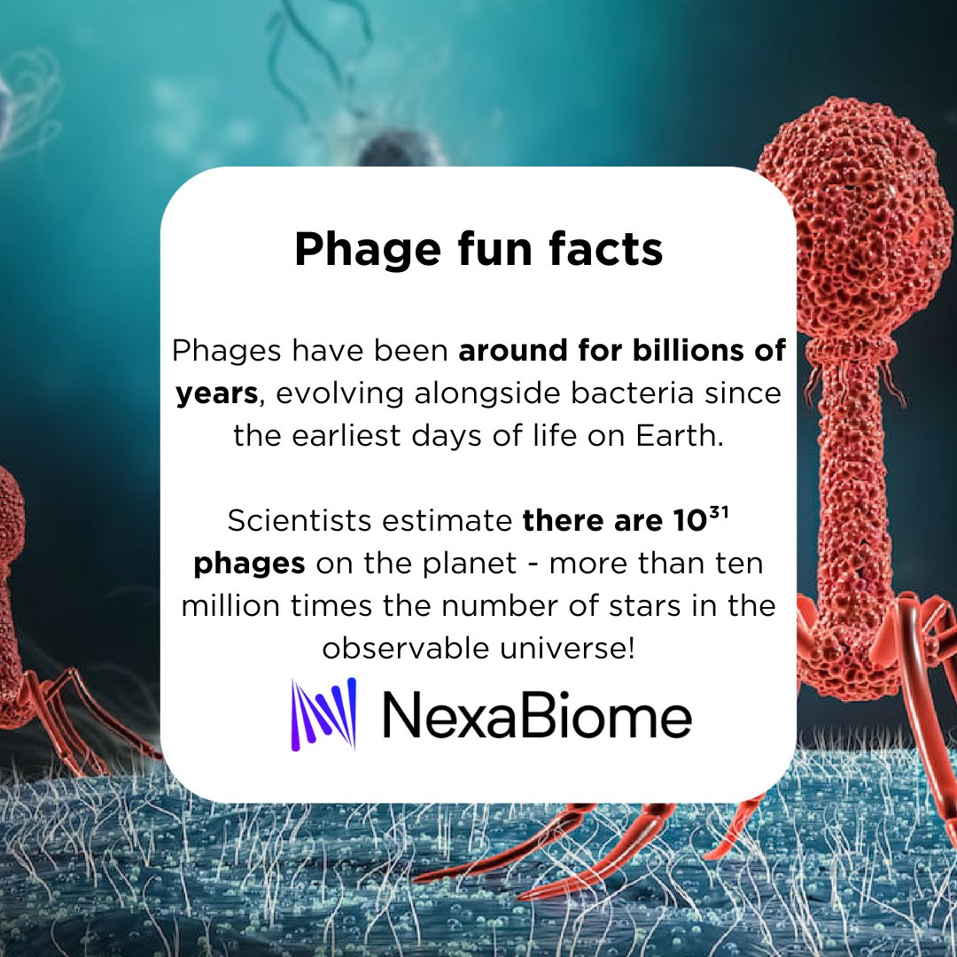 NexaBiome (@nexabiome) on Twitter photo Tiny. Ancient. Everywhere. 🌍 Phages are nature’s bacterial predators and a powerful weapon against antibiotic resistance. Swipe to see why these microscopic assassins matter. #AMR #PhageTherapy #Innovation Tiny. Ancient. Everywhere. 🌍 Phages are nature’s bacterial predators and a powerful weapon against antibiotic resistance. Swipe to see why these microscopic assassins matter. #AMR #PhageTherapy #Innovation