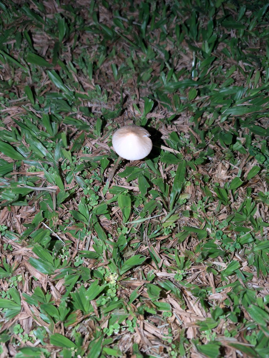 Big announcement soon