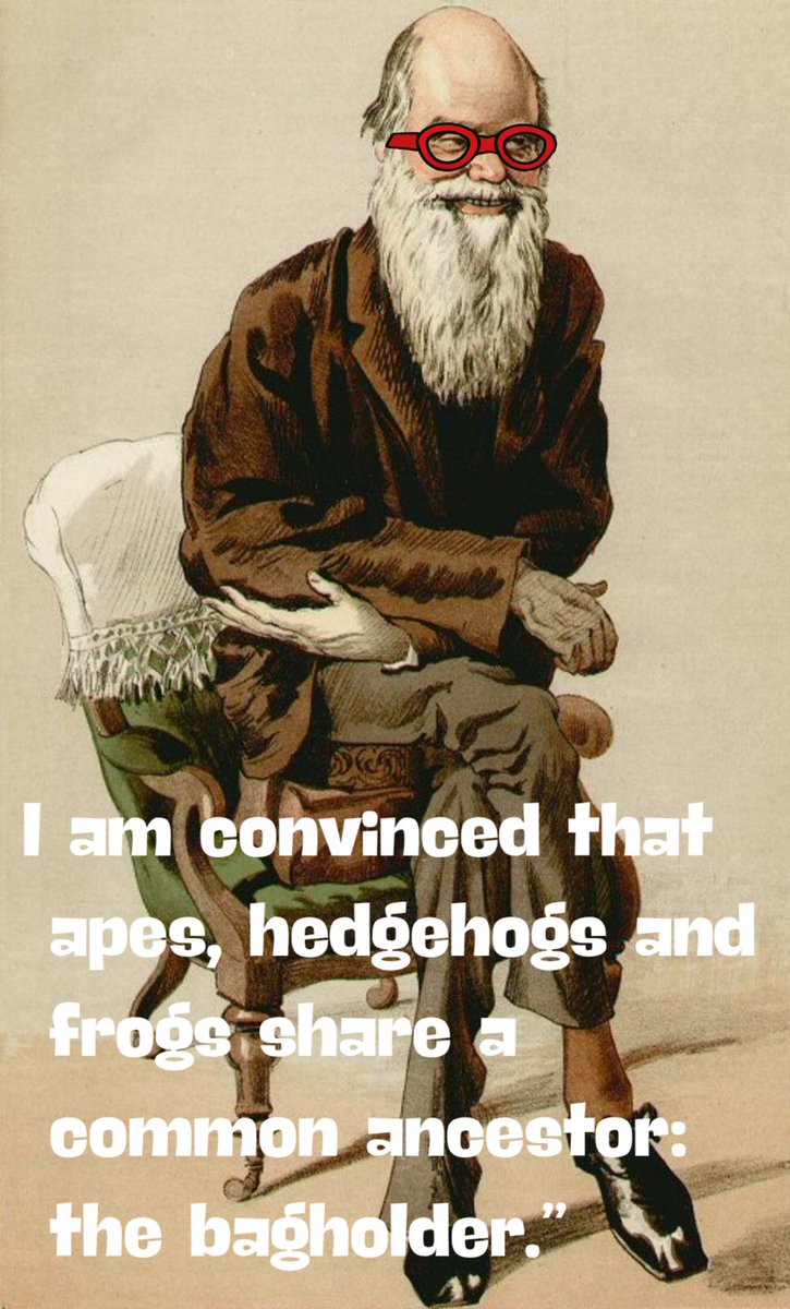 I am convinced that apes, hedgehogs and frogs share a common ancestor: the bagholder.”

Charles “Red“ Darwin