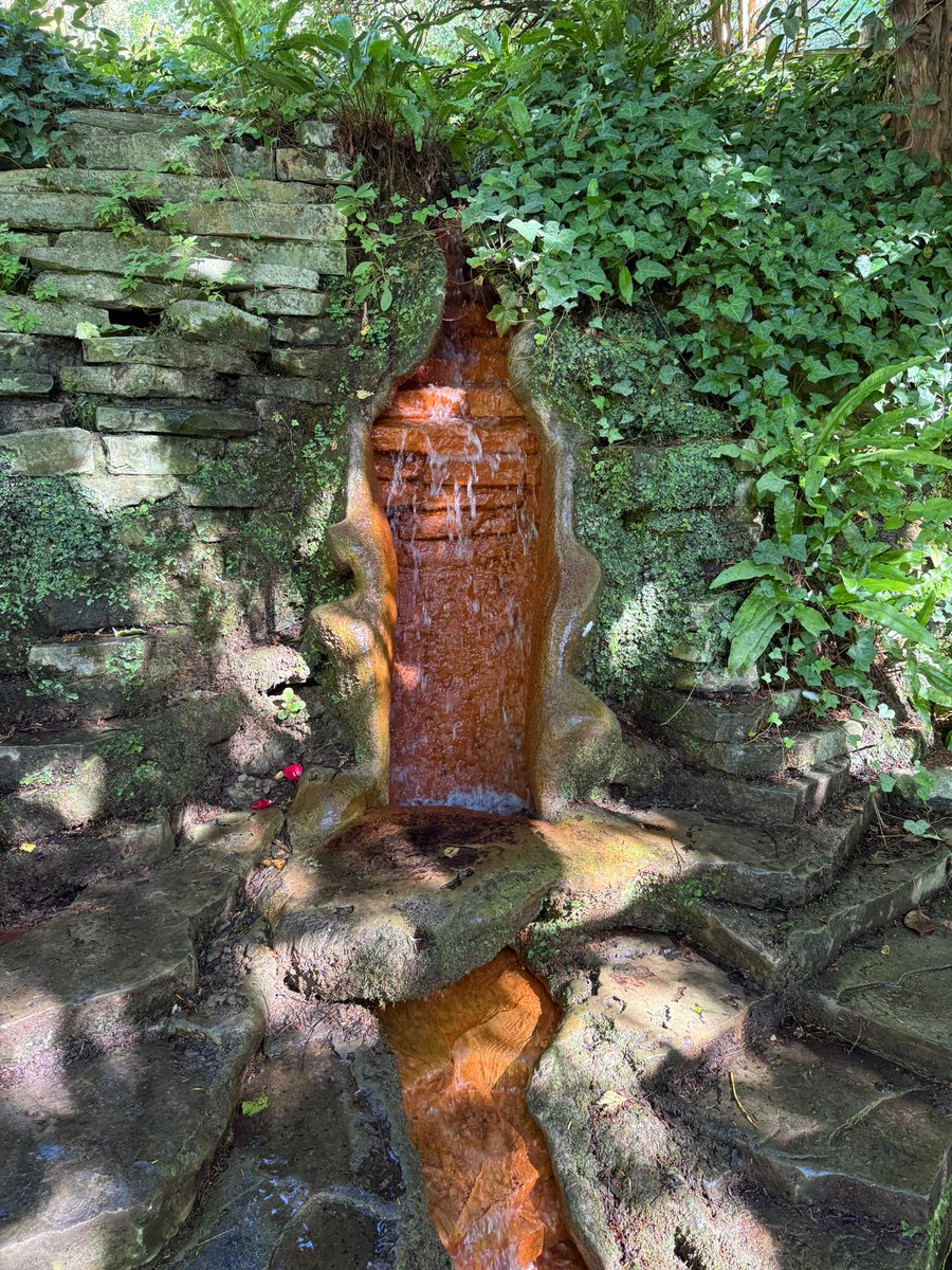 Princess Kaz tweet media