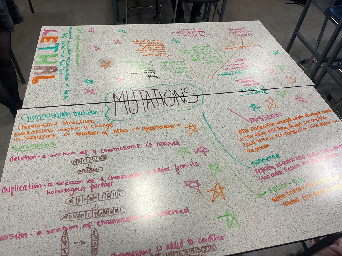 SASB_SCIENCE's tweet image. Mrs Pirie’s higher human class’s retrieval of key area 4 #higherhuman #biology