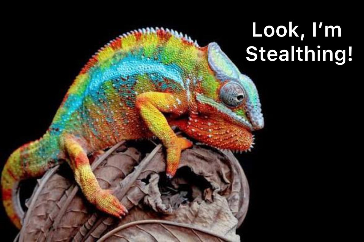 Don’t let Monday drain your colors, you got this! (even if it makes you fail a stealth check)

#dnd #funny #colorful #monday