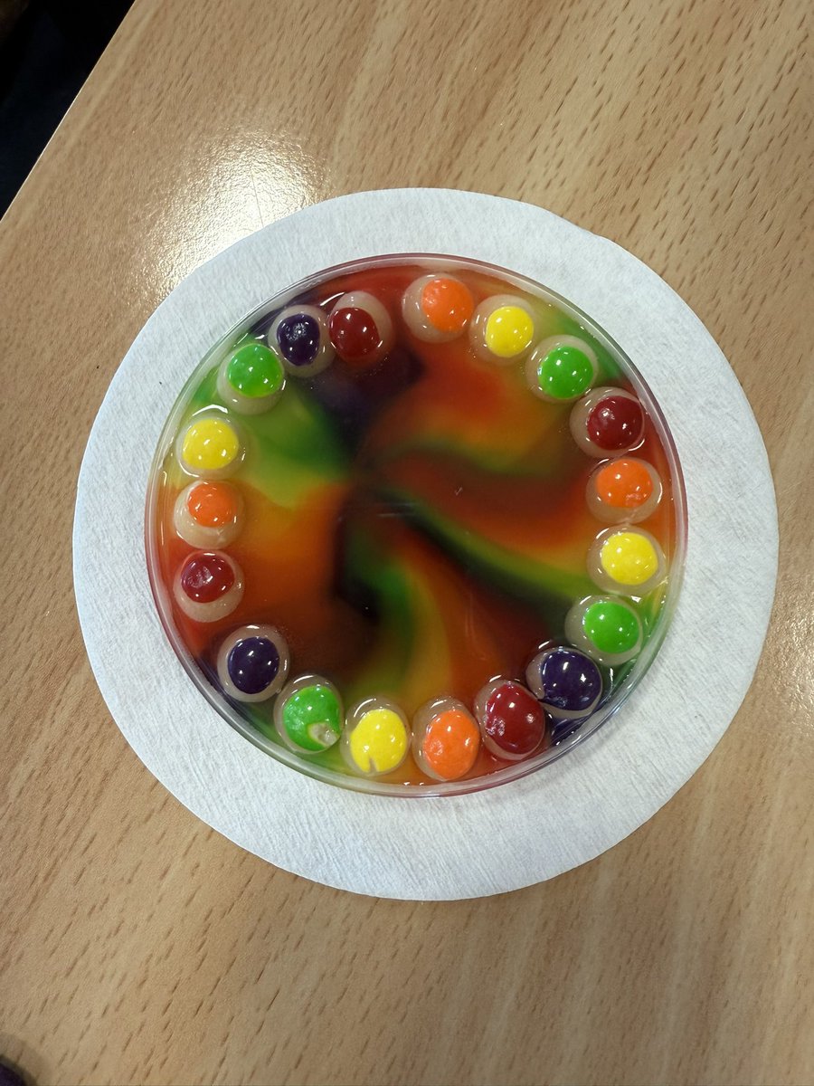 SASB_SCIENCE's tweet image. Some fun experiments so far this term in biology