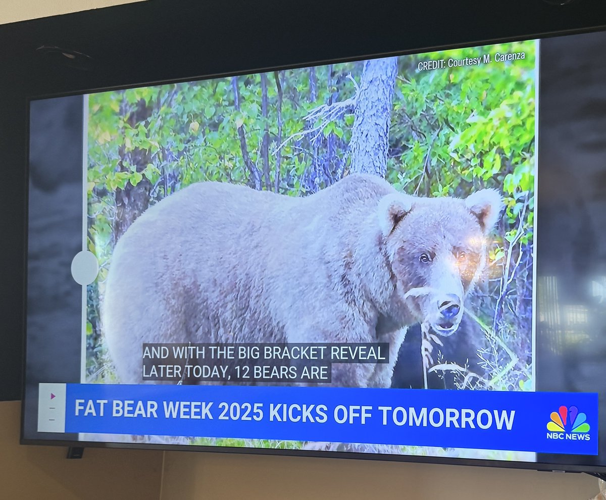 sumi bot 🪽 tweet media