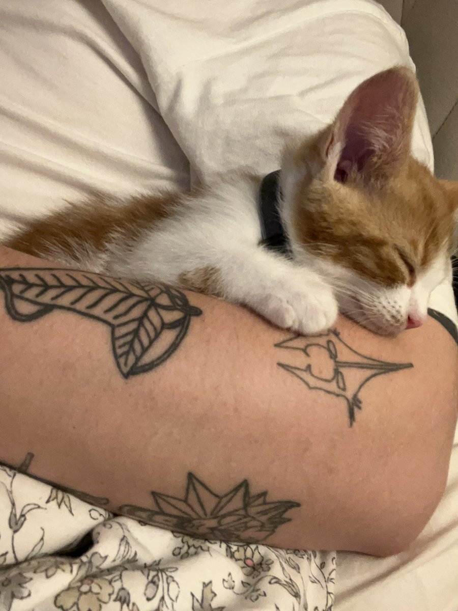 ThatSadBrit's tweet image. Beans had his first jab today:)