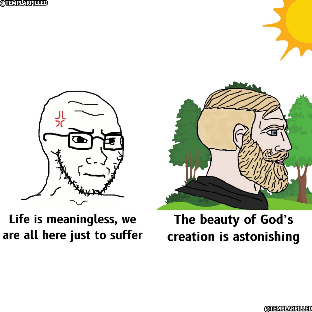 Templarpilled's tweet image. 