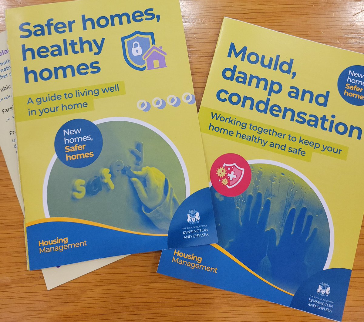 Sof McVeigh tweet media