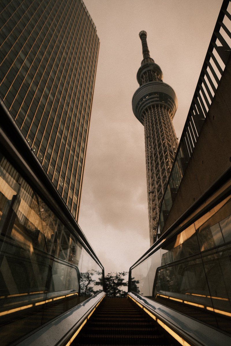 ShiNoShii tweet media