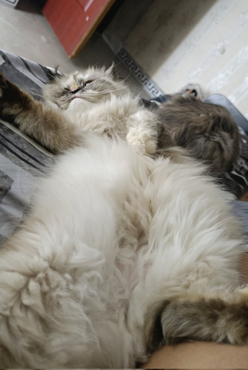 دایک و باوکی کامتان ئەمتانە لێ قەبووڵ ئەکات؟