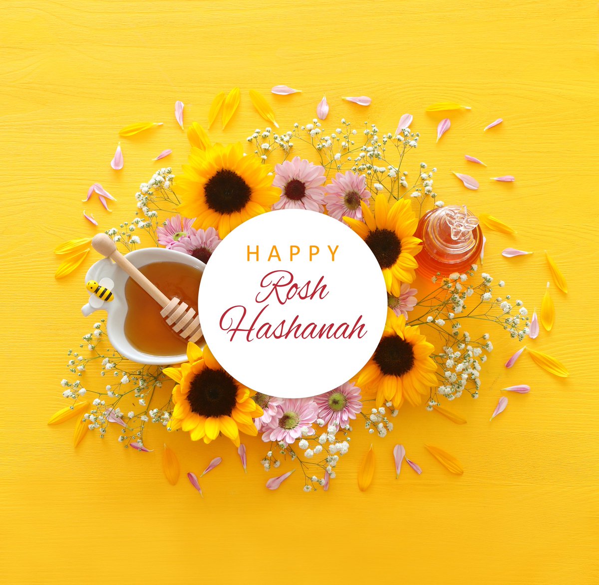 City of Miami Beach tweet media