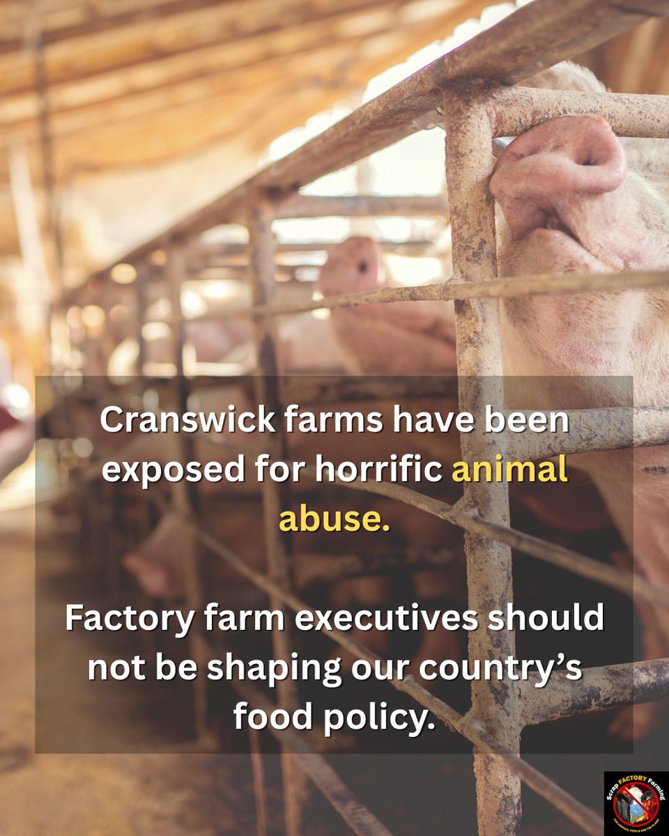 ScrapFactoryFarming tweet media