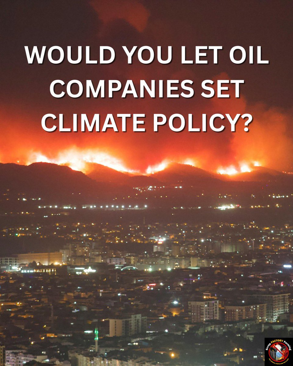 ScrapFactoryFarming tweet media