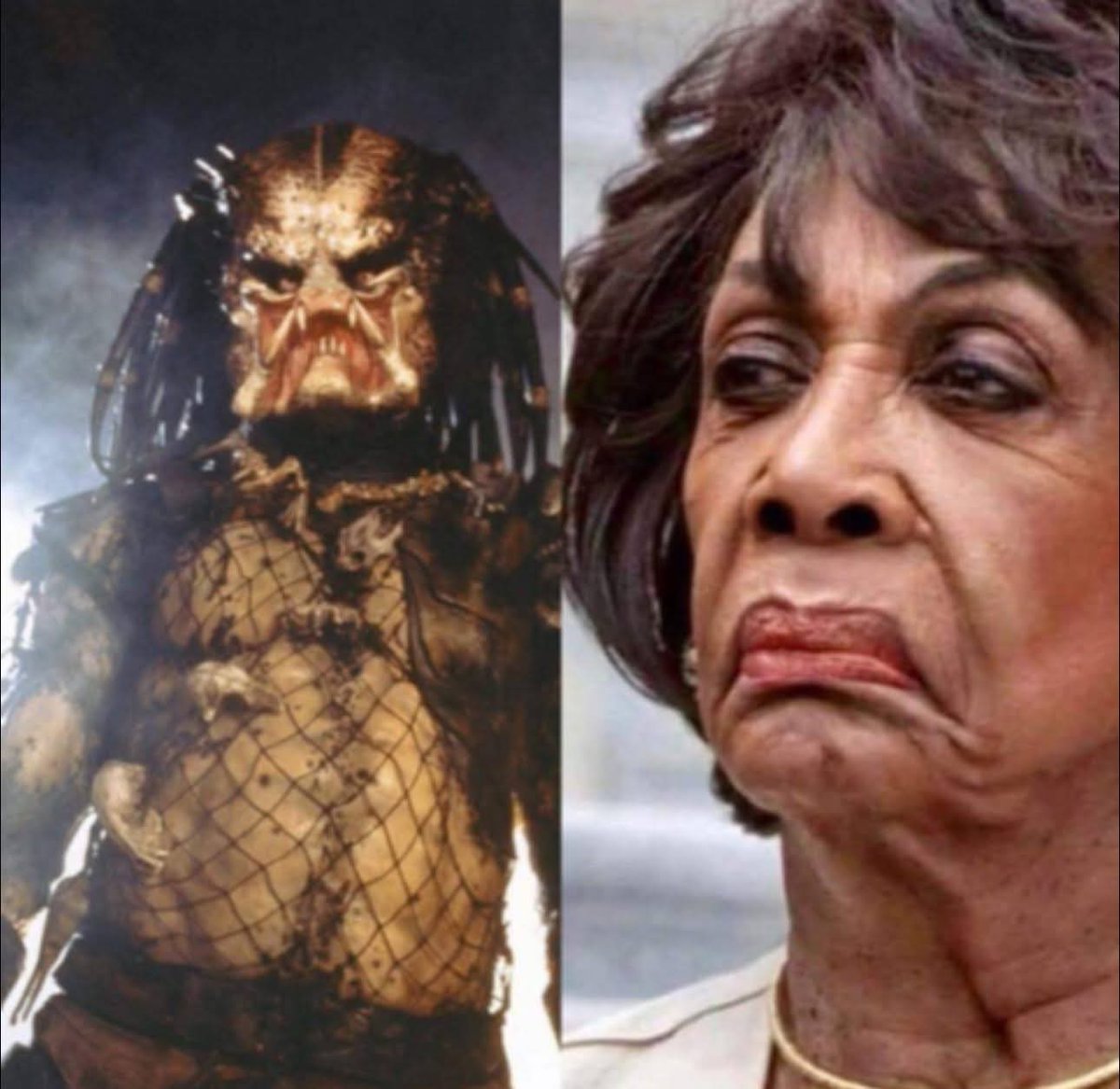 <a href="/ConservBrief/">Conservative Brief</a> She looks like the star of a comedy movie called "Weekend at Maxine's."