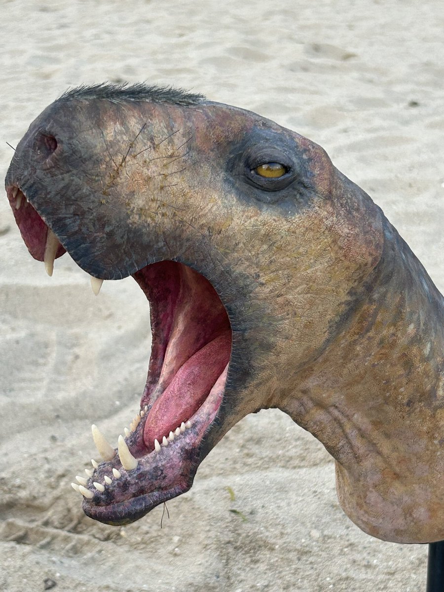 TylerKeillor's tweet image. Did anyone see my new Cyonosaurus #paleoart in the wild at #riotfest over the weekend? Check out some threads about how I made the model for Arjan Mann from @FieldMuseum over at my blue sky