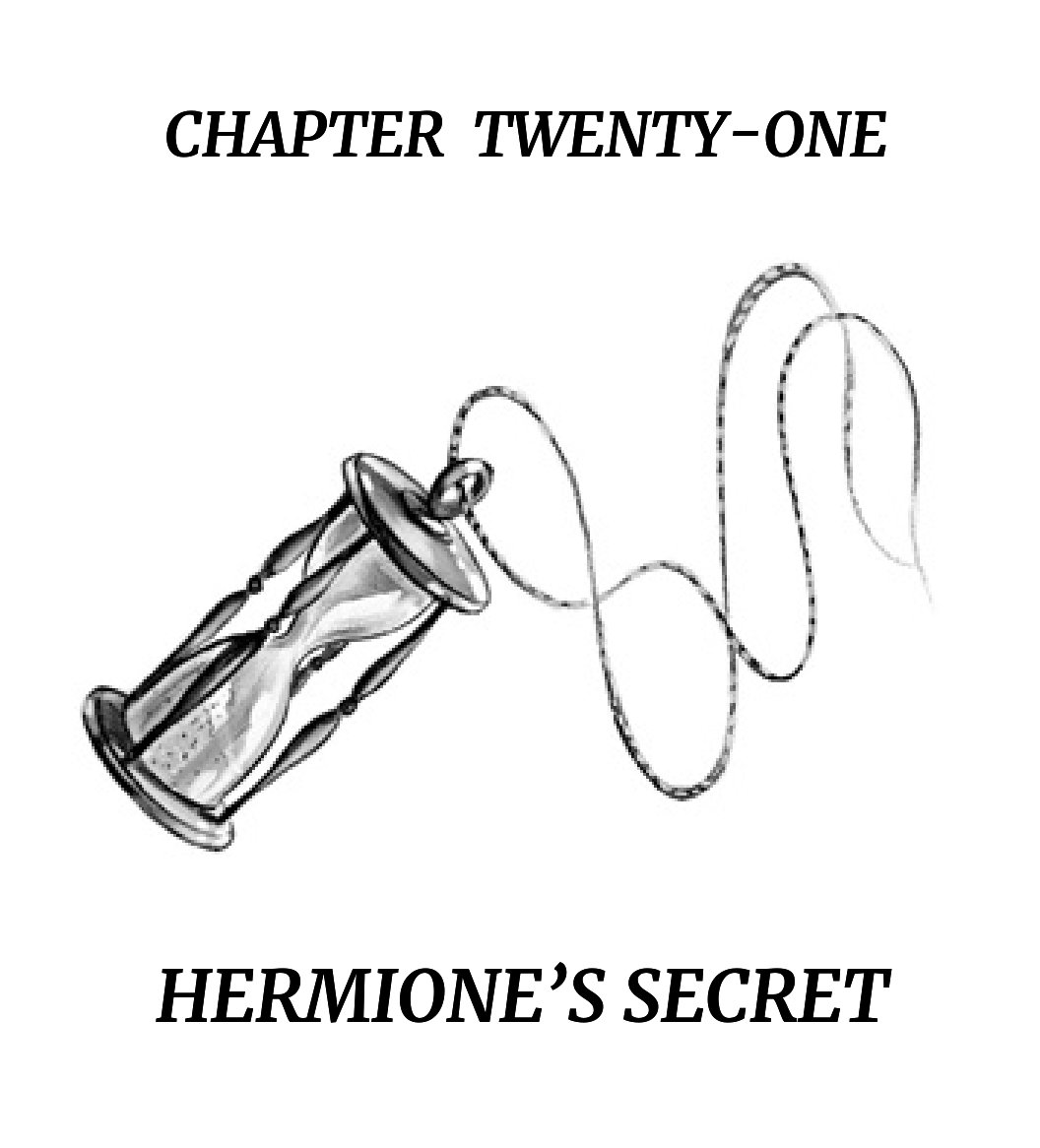 YesIAmVaaNi's tweet photo. Hermione's Secret ⏳✅ https://t.co/RJmlXPDpGO