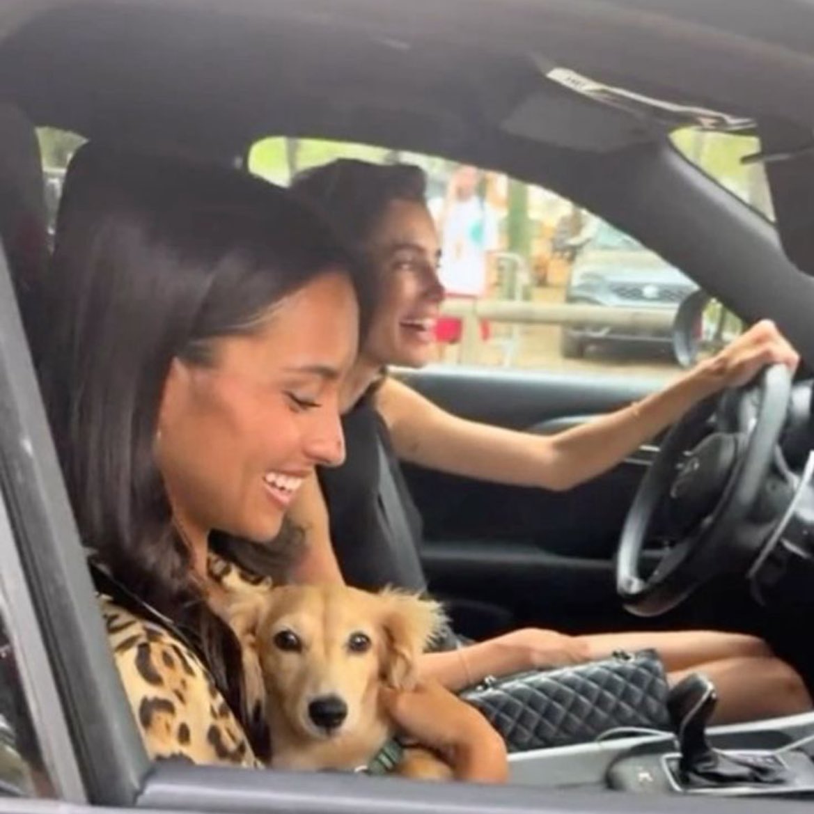 both charles and alexandra being the passenger princess 😭