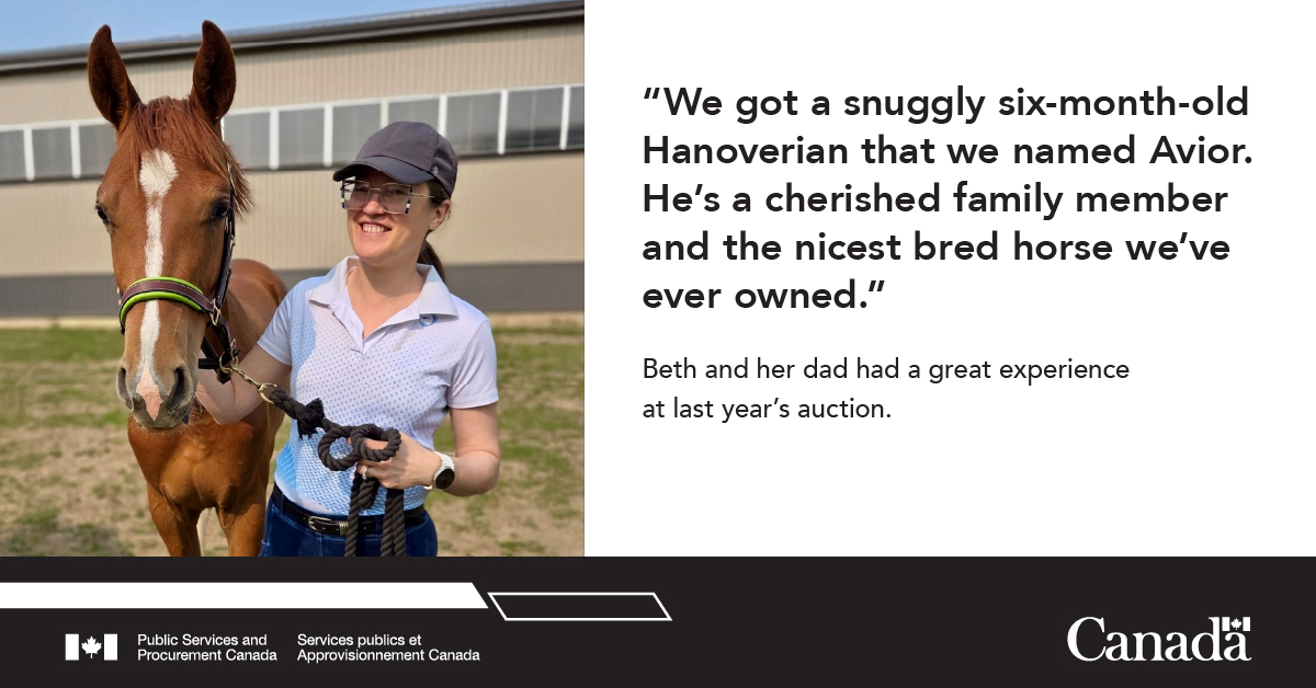 GCSurplus_PSPC's tweet image. 📅Starting Sept. 29, #GCSurplus is hosting the highly anticipated #MusicalRide horse auction, where up to 16 Hanoverian horses brimming with potential will be auctioned.🐎
Don’t miss your chance to bid and make one yours. Get the latest updates➡️ gcsurplus.ca/mn-eng.cfm?snc…