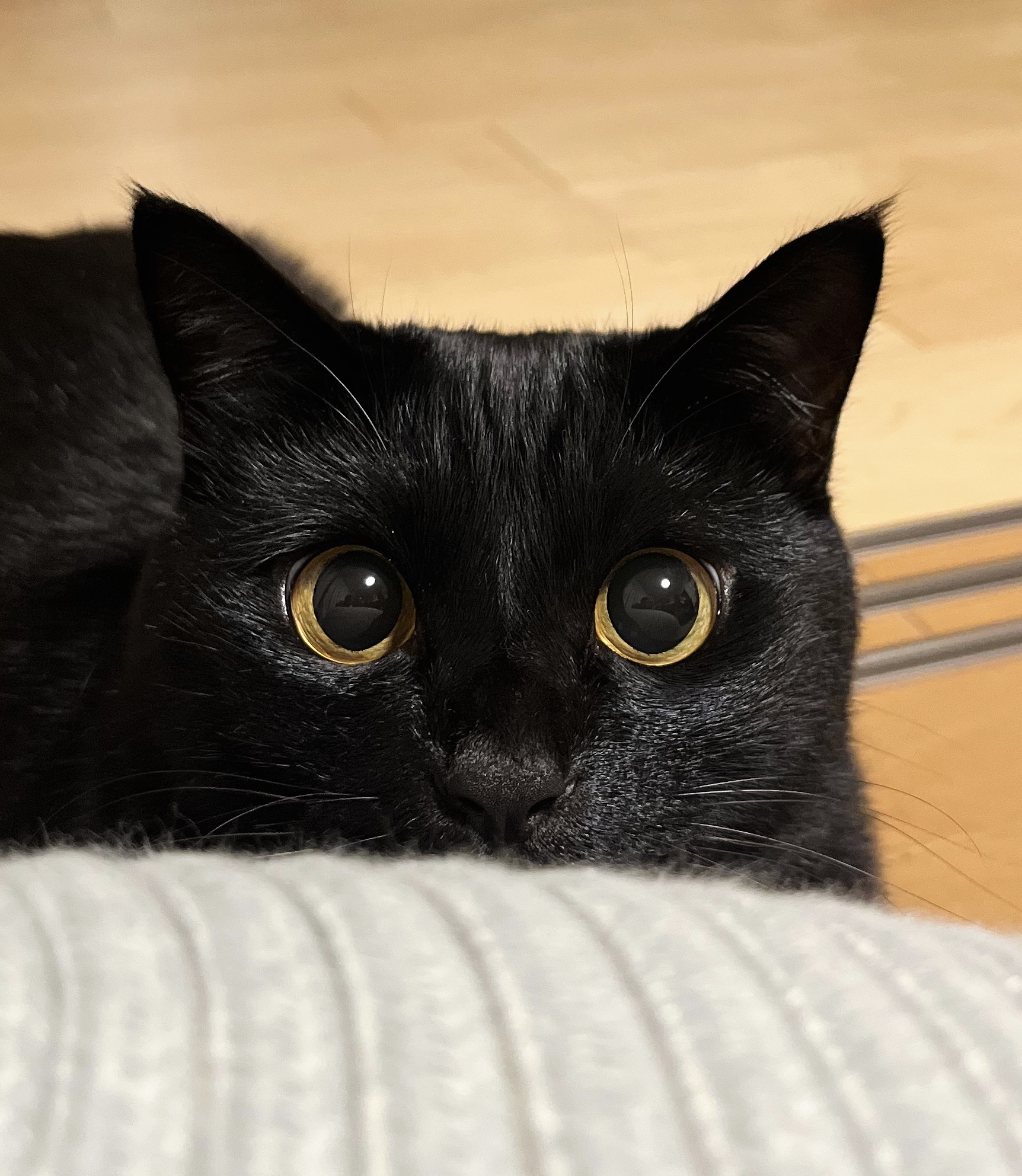 けいちゃん☄️ on X: 