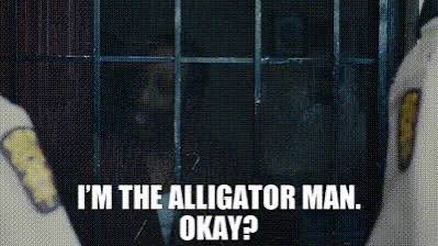 GrantScheeringa's tweet image. 