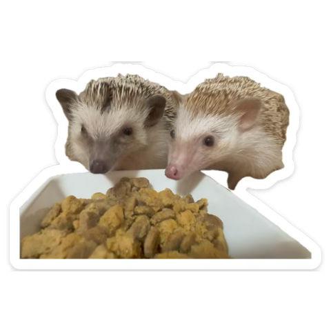 <a href="/LindaSunshine66/">リンダ・サンシャインのビデオコンテンツ</a> 🦔🦔🎶