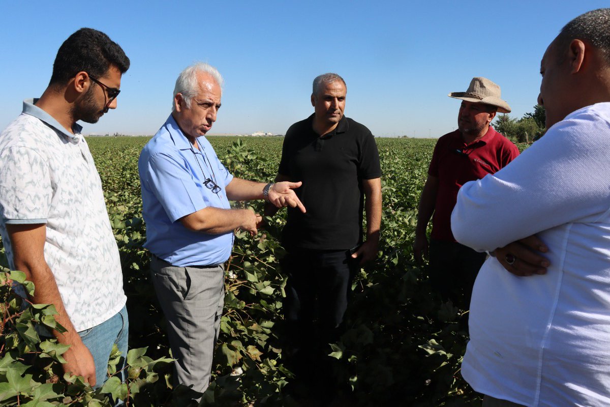 sanliurfaolay's tweet image. Büyükşehir’den Çiftçilere Pamuk Tarımı Eğitimi Üretici buluşmaları devam ediyor 
sanliurfaolay.com/haber/26345425…

#patlama #SONDAKİKA #GSvKNY