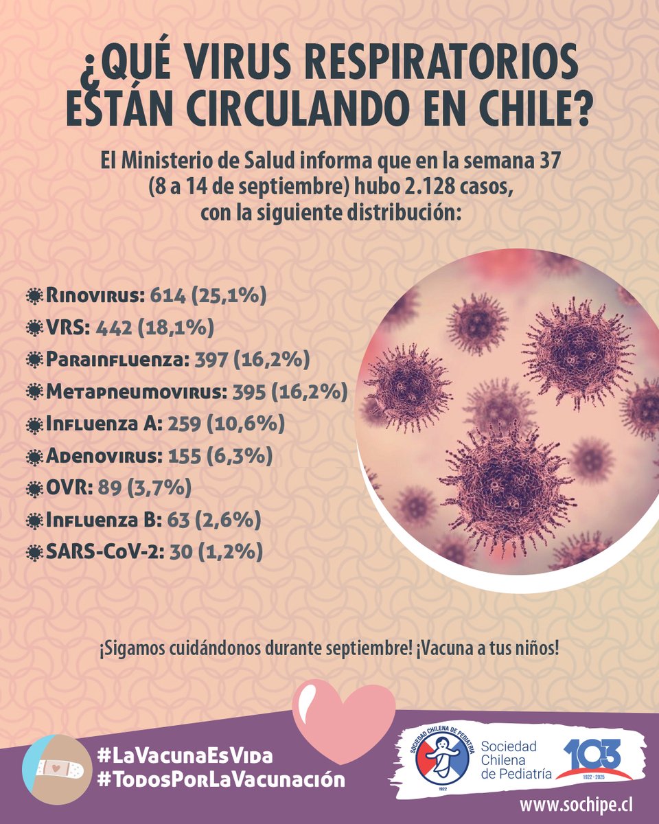 ¿QUÉ VIRUS RESPIRATORIOS ESTÁN CIRCULANDO EN CHILE?
Compartimos información entregada por el Ministerio de Salud, respecto de los casos asociados a virus respiratorios que se presentaron durante la semana 37 del año (8 al 14 de septiembre).
➡️ Más en f.mtr.cool/zimxjfstvn