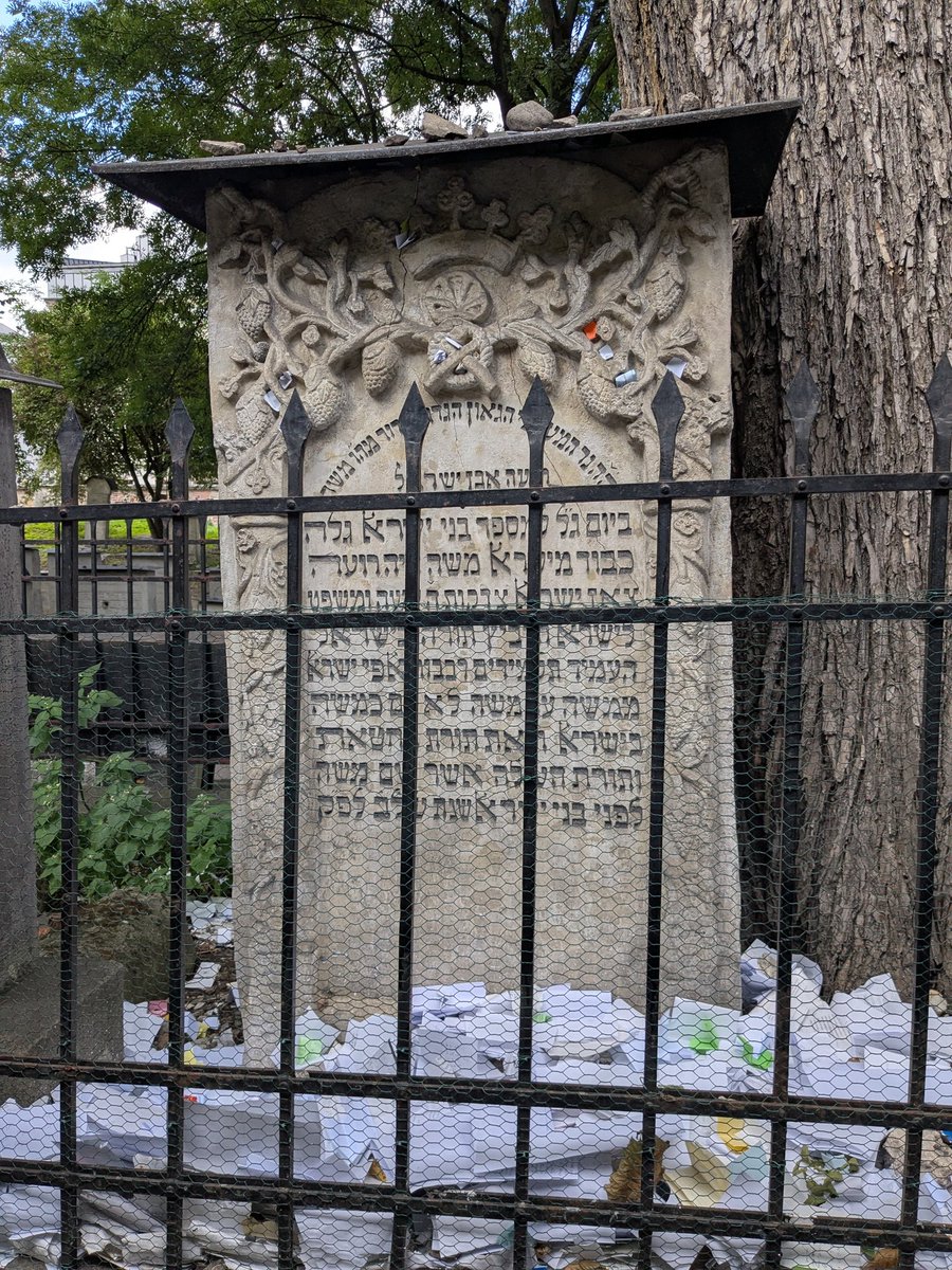 Benjamin Goodman tweet media