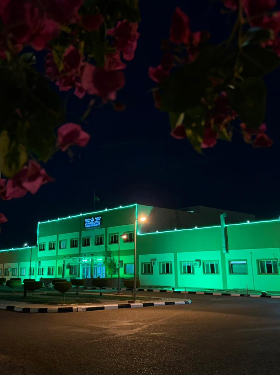 TaifHCluster's tweet photo. 🇸🇦 | مكونات #تجمع_الطائف_الصحي تتوشح اللون الأخضر ابتهاجاً واعتزازاً بذكرى #اليوم_الوطني_السعودي95 ، في لوحة تعكس حب الوطن  وتجسد رعاية وصحة الوطن والمواطن . https://t.co/xtc6rL8G54