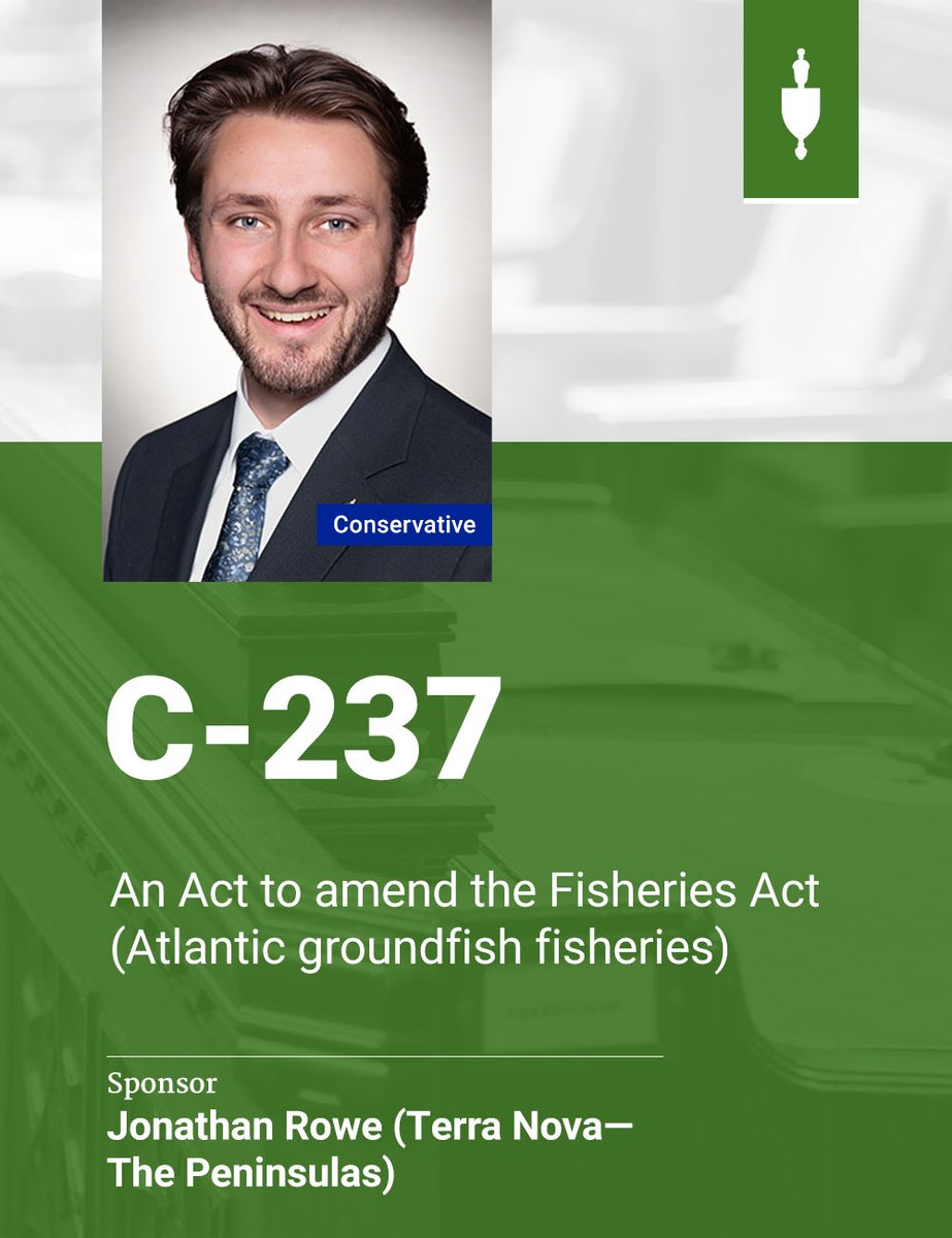HoCChamber's tweet image. Jonathan Rowe introduced Bill #C237 in the #HoC.

The full text of the Bill will be available later today: ow.ly/BYij50W0NRp